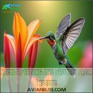 Nectar Feeding and Protein From Insects