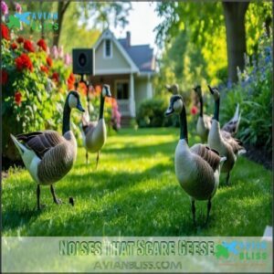 Noises That Scare Geese