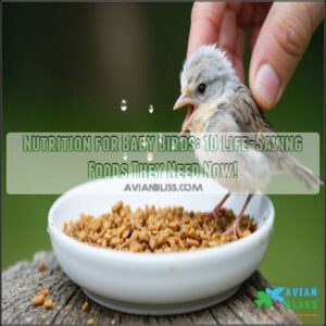 nutrition for baby birds