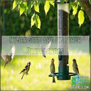 Nyjer Seed and Its Finch Preferences