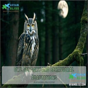 Owl Sensory and Behavioral Adaptations