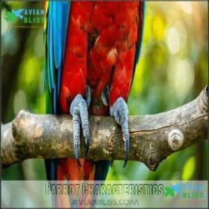 Parrot Characteristics