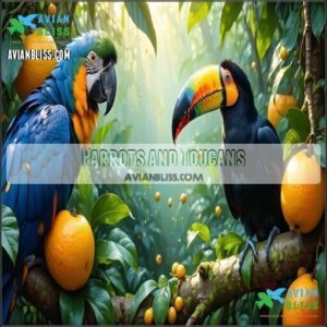 Parrots and Toucans