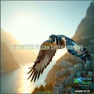 Peregrine Falcon Speed and Dive