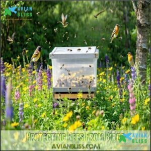 Protecting Bees From Birds