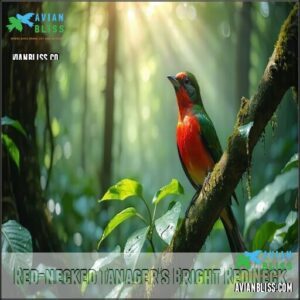 Red-necked Tanager