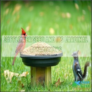 Safflower Seed and Its Cardinal Attractions