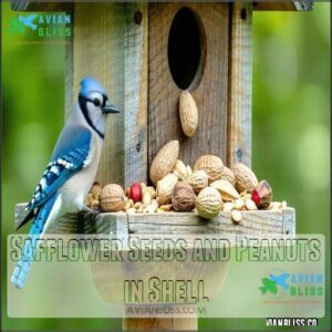 Safflower Seeds and Peanuts in Shell