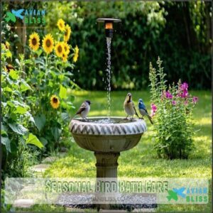 Seasonal Bird Bath Care