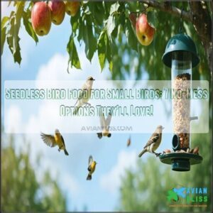 seedless bird food for small birds