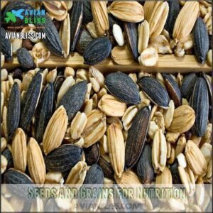 Seeds and Grains for Nutrition