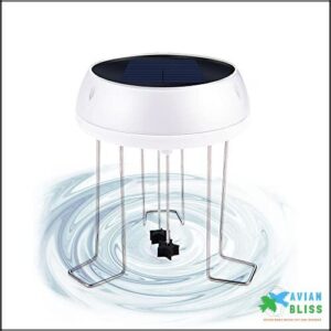 Solar Water Wiggler for Bird