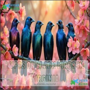 Types of Black Birds in Virginia