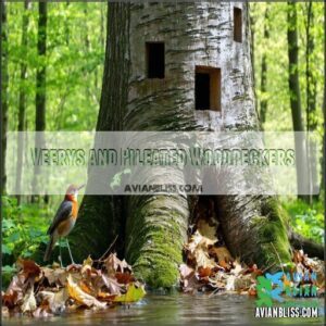 Veerys and Pileated Woodpeckers