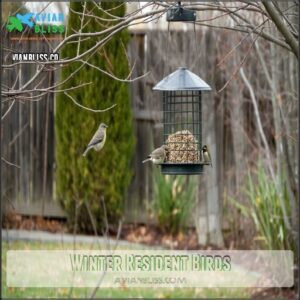 Winter Resident Birds