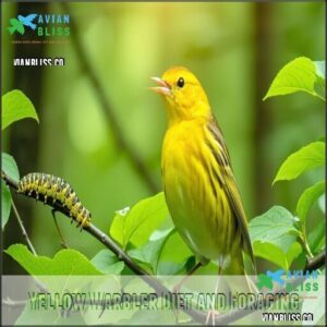 Yellow Warbler Diet and Foraging