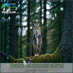 Avoiding Disturbances to Owls