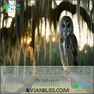 Best Owl Watching Spots in Florida