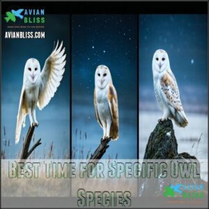Best Time for Specific Owl Species