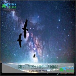 Bird Migration Basics