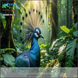 Bird With Afro Conservation