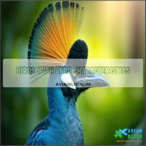 Birds With Afro Characteristics