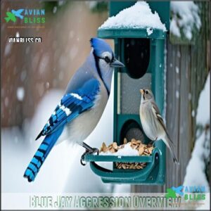 Blue Jay Aggression Overview