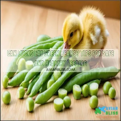Can Ducks Eat Green Beans? Tips for Safe and Healthy Feeding