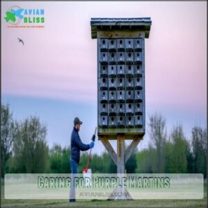 Caring for Purple Martins