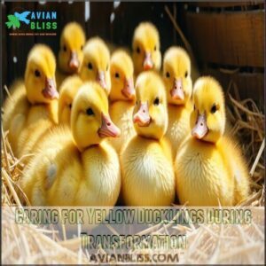 Caring for Yellow Ducklings During Transformation