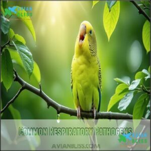 Common Respiratory Pathogens Common Respiratory Pathogens