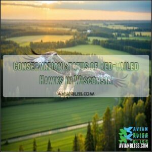 Conservation Status of Red-Tailed Hawks in Wisconsin