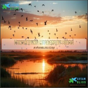 Conserving Migratory Birds