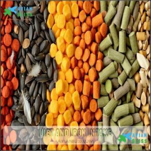 Diet and Iron Intake