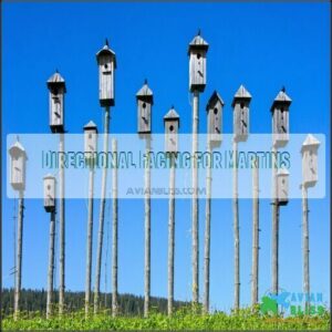 Directional Facing for Martins