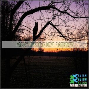 Early Evening Owl Activity