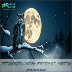 Environmental Factors Affecting Owl Sightings