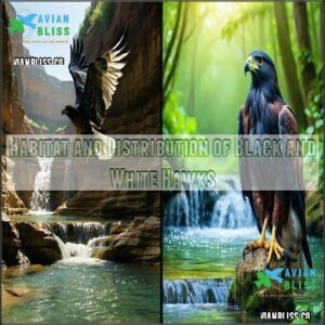 Habitat and Distribution of Black and White Hawks