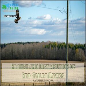 Habitat and Distribution of Red-Tailed Hawks
