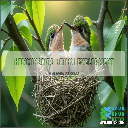 What Does a Baby Hummingbird Look Like? Facts and Growth Stages