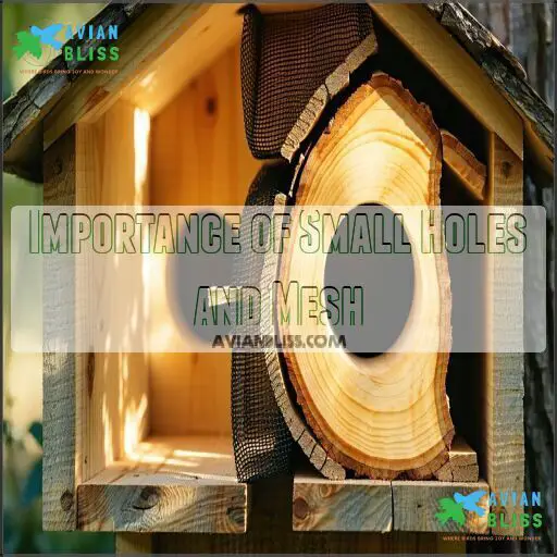 Image showcasing Birdhouse Ventilation Drainage Importance: Tips for Better Bird Homes
