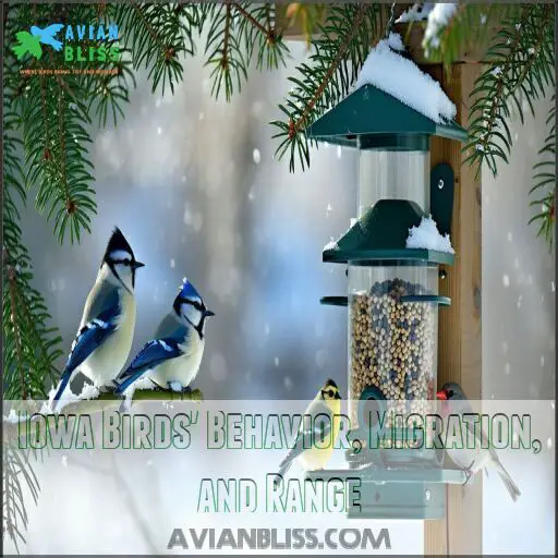 Backyard Birds of Iowa: 30 Common Types to Watch and Attract