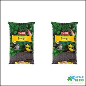 Kaytee Nyjer Wild Bird Food B0C2XQKVR3