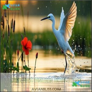 Migratory Visitors to Delaware