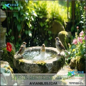 Minimal Maintenance Required