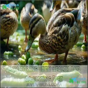 Monitoring Duck Health and Adjusting Diet