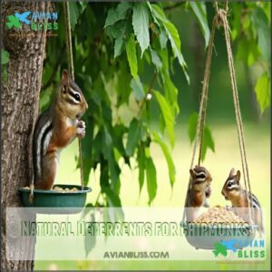 Natural Deterrents for Chipmunks Natural Deterrents for Chipmunks