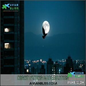 Night Flying Capabilities