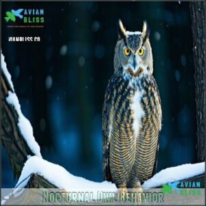 Nocturnal Owl Behavior