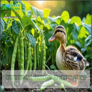 Nutritional Benefits of Green Beans